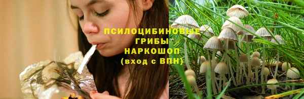 не бодяженный Арсеньев