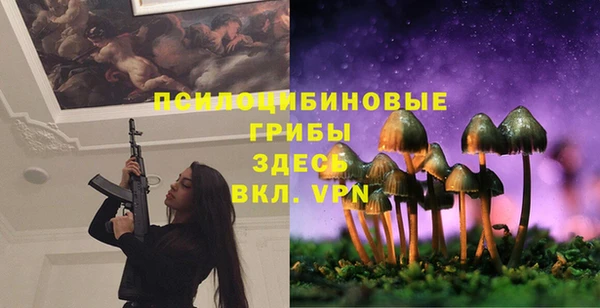 не бодяженный Арсеньев
