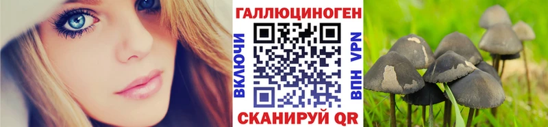 сайты даркнета Telegram Боготол Галлюциногенные грибы мухоморы